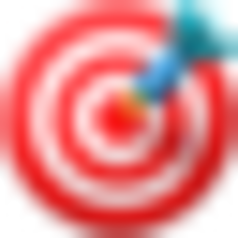 🎯